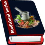 Herbal medicines free icon