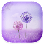Purple Dandelion - One Sms, Free, Personalize icon