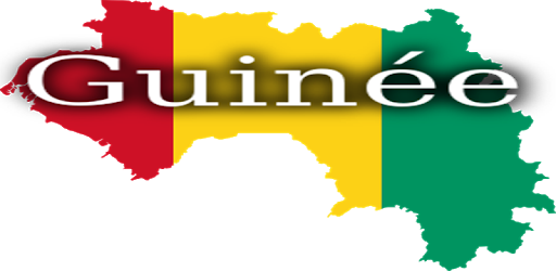 History of Guinea pc screenshot