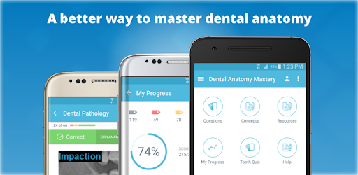 Dental Anatomy Mastery pc screenshot