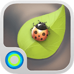 Peaceful Moments Hola Theme icon