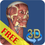 3D Bones and Organs (Anatomy) icon