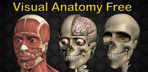 Visual Anatomy Free pc screenshot Visual Anatomy Free pc screenshot