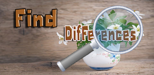 Find Differences Level 17 pc screenshot