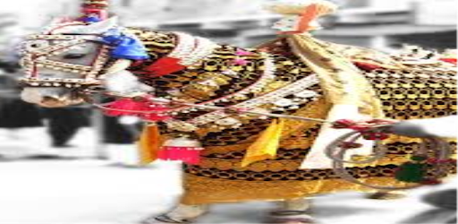 Zuljana pc screenshot