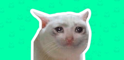 Best Cat Stickers for Chat WAStickerApps pc screenshot Best Cat Stickers for Chat WAStickerApps pc screenshot