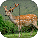Deer Sniper: Hunting Game icon