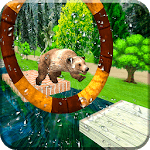 Wild Bear Water Stunts icon
