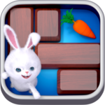 Unblock Zoo icon