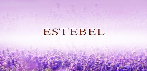 Estebel pc screenshot