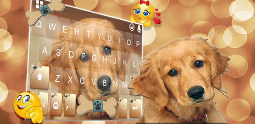 Gold Naive Puppy Keyboard Theme pc screenshot Gold Naive Puppy Keyboard Theme pc screenshot