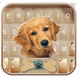 Gold Naive Puppy Keyboard Theme icon
