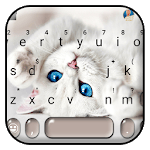 Innocent Cute Cat Keyboard Theme icon