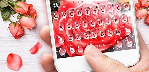 Raindrop Red Rose Keyboard Theme pc screenshot Raindrop Red Rose Keyboard Theme pc screenshot