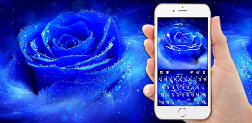 Silver Blue Rose Keyboard Theme pc screenshot