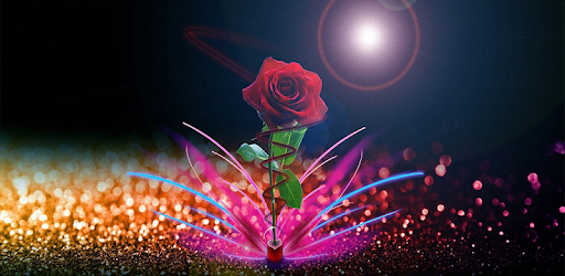 Rose Wallpaper HD pc screenshot