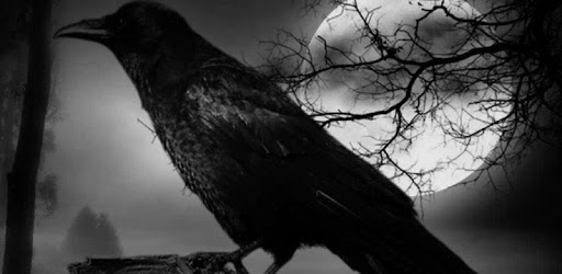 Mourning Images pc screenshot