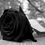Mourning Images icon