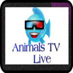 Animals TV Live icon