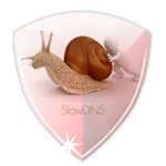 VPN Over DNS  Tunnel : SlowDNS icon