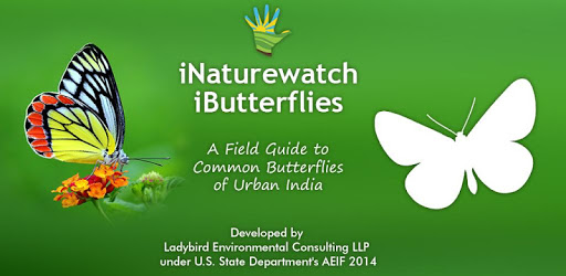 iButterflies pc screenshot