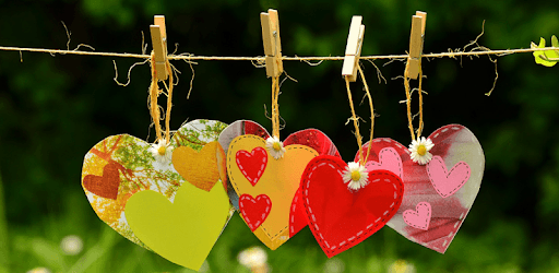 Lovely Love Calculator pc screenshot