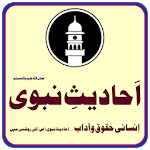 Ahadees e Nabvi  ( Hadees-e-Nabvi ) icon