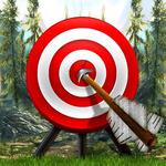 Target - Archery Games for pc icon Target - Archery Games for pc icon