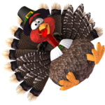 Chicken Invaders 4 Thanksgivin icon