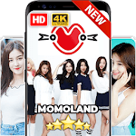 Momoland Wallpaper KPOP HD Fans icon