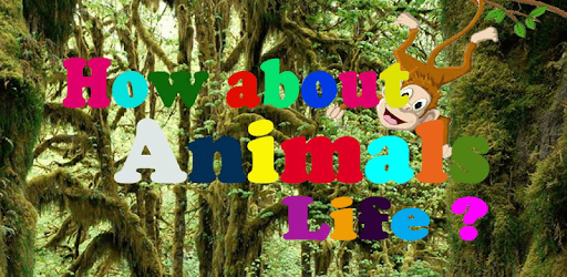Animals Discovery pc screenshot Animals Discovery pc screenshot