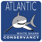 Sharktivity - White Shark App icon