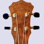 Ukulele Chords & Scales (free) icon