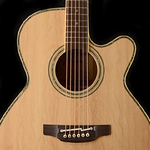 Guitar Chords & Scales (free) icon