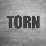 TORN for pc icon TORN for pc icon