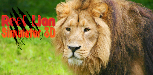 Real Lion Simulator 3D pc screenshot Real Lion Simulator 3D pc screenshot