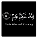 Islamic Reminders Quotes icon