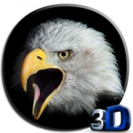 Eagle 3D Video Live Wallpaper icon