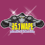 95.1 WAPE Jacksonville icon