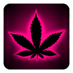 Rasta Pink Neon Keyboard icon