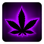 Rasta Purple Neon Keyboard icon