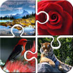 Puzzles for adults icon
