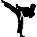 Kyokushin-Kata icon