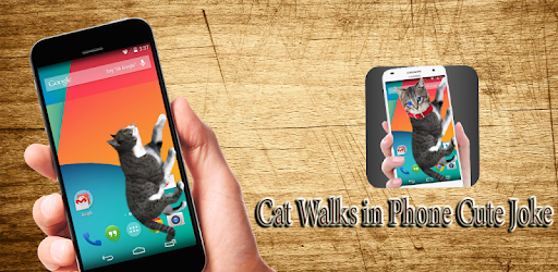 Cat Walks in Phone Cute Phone Joke pc screenshot