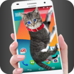 Cat Walks in Phone Cute Phone Joke icon