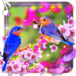 Beauty Birds live wallpaper icon