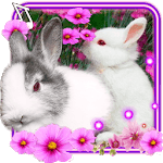 Funny Bunnies live wallpaper icon