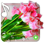 March 8 Free LWP icon