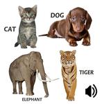 Animal sounds icon