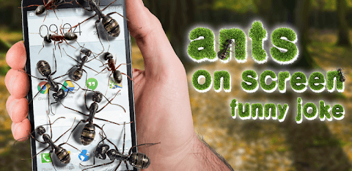 Ants on screen funny joke pc screenshot